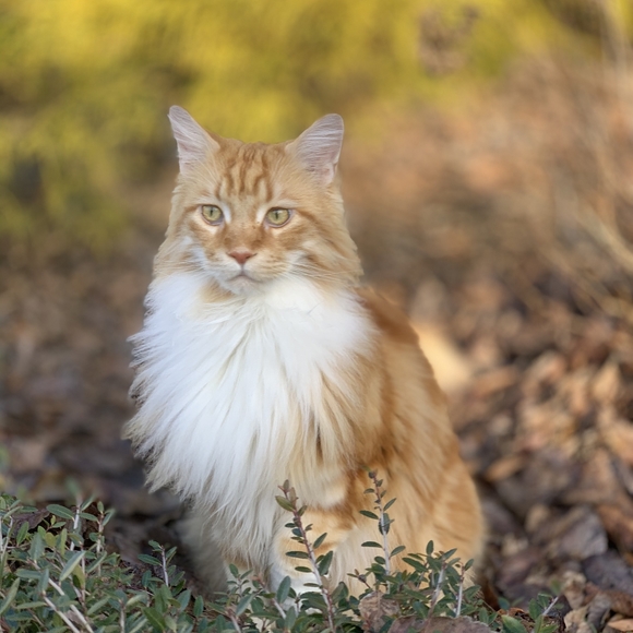 Namaste - Picture 16 of 16